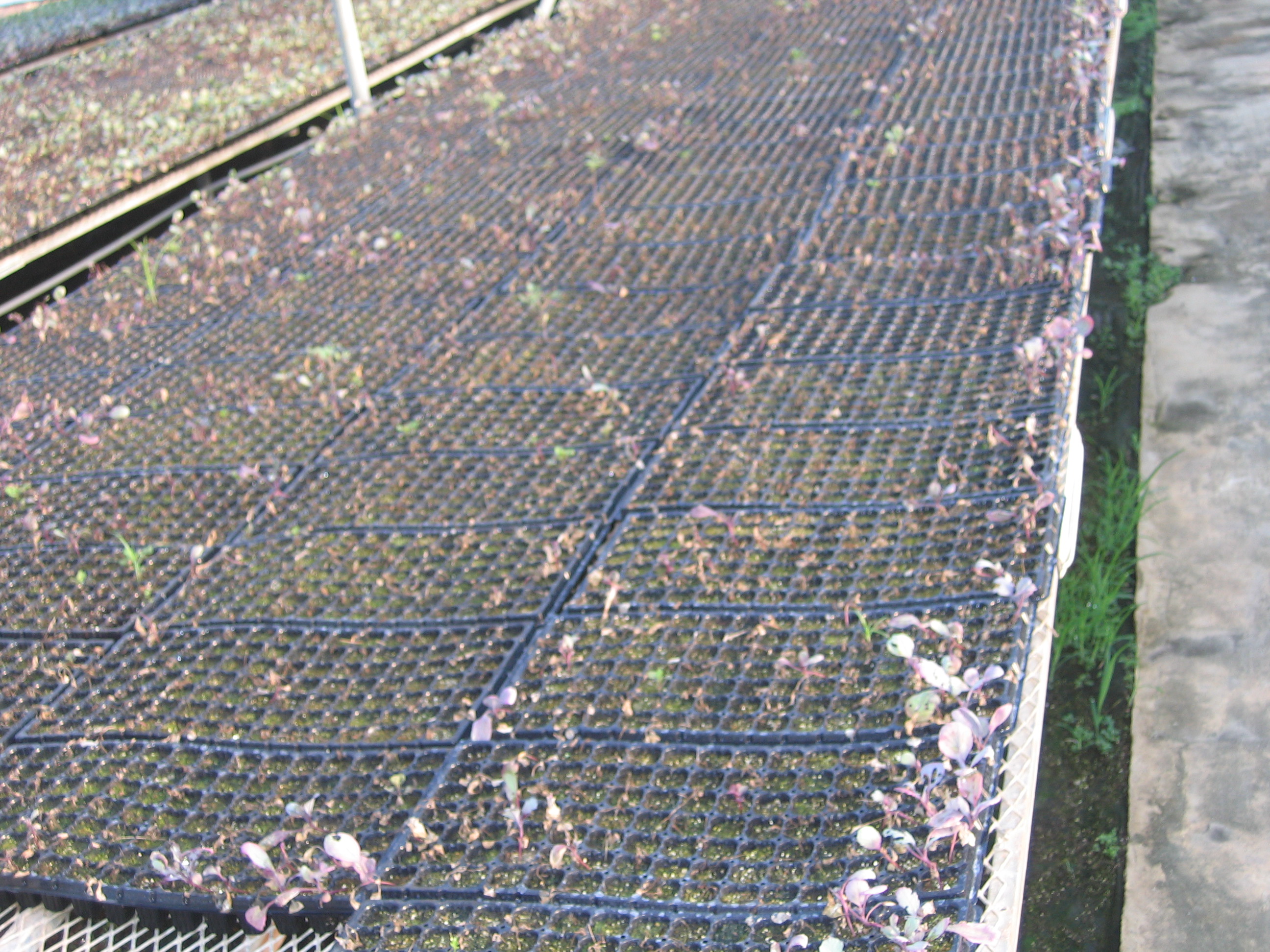 답답하고 억울하고 울화통이 치미네요